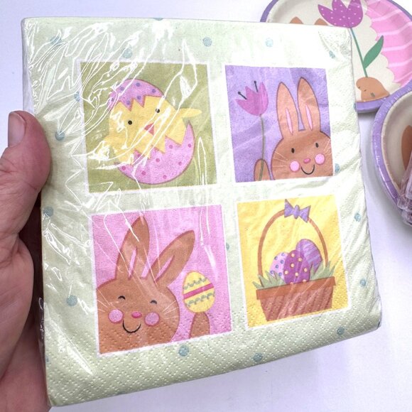 Party Creations Vintage Bunny’s Day Out paper products plates napkins Easter Spr - Picture 6 of 7
